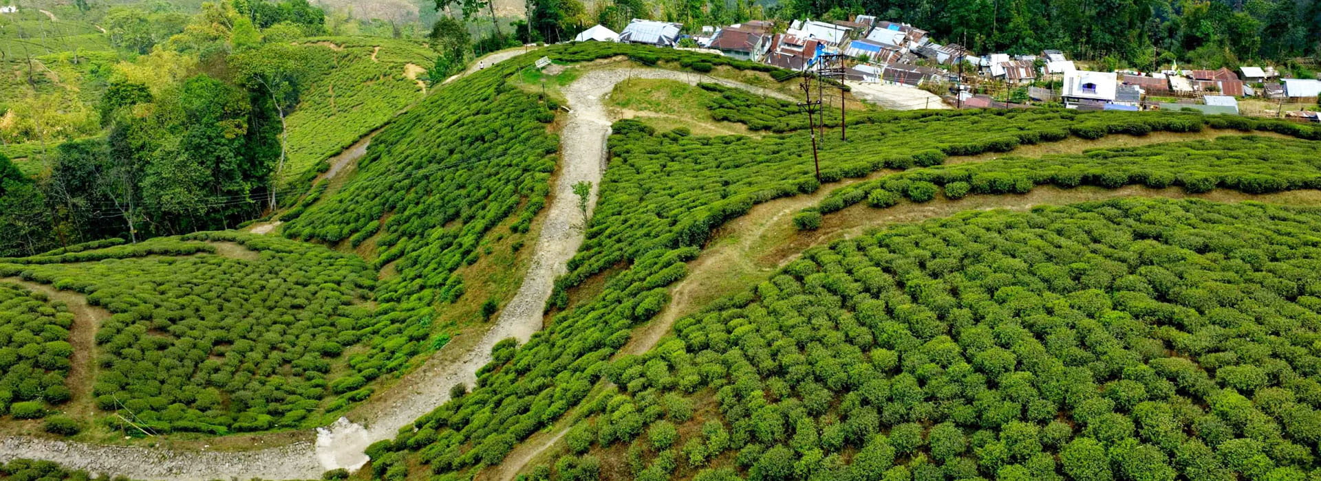 Darjeeling